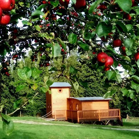Holiday home En Foret Avec Terrasse, Peche, Baignade, Et Proximite Chemins De Randonnee - Normandie - Fr-1-497-184