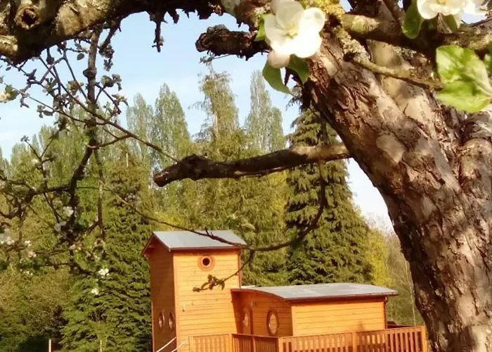 Semesterbostad En Bois Dans Nature, Animaux Admis, Wifi - Fr-1-497-184 Ecouves